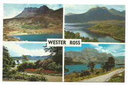 XW 3515 Wester Ross - Stack Polly - Inverewe Gardens - Loch Torridon - Loch Maree / Non Viaggiata - Ross & Cromarty