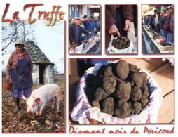 (F 22) France - Champignon Truffe Mushroom / Truffle (with Pig / Cochon) - Mushrooms