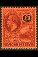 1921-29 £1 Purple And Black / Red, SG 61, Mint Very Lightly Hinged (so Lightly Hinged It Was Previously Purchased As Nev - Altri & Non Classificati