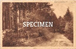 H. Amandus - Broeders Van Liefde - Omgeving - Beernem - Beernem