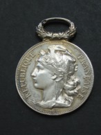Médaille En Argent - Le Conseil Général Des Bouches Du Rhône  Aux Sauveteurs Du Midi  **** EN ACHAT IMMEDIAT **** - Royaux / De Noblesse