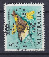 Australia Perfin Perforé Lochung 'G NSW G' 1966 Mi. 362, 5c. Bird Vogel Oiseau - Perforiert/Gezähnt