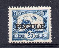 !!! FISCAL D'INDOCHINE PECULE N°17 NEUF * - Altri & Non Classificati