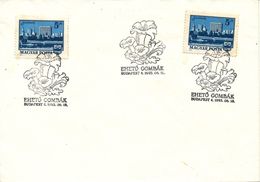 Hungary Cover With Special Postmark Budapest 18-6-1993 - Lettres & Documents