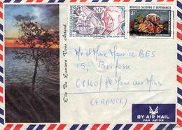 NOUVELLE-CALEDONIE - AIR MAIL 1975 -> FRANCE  //ak286 - Lettres & Documents