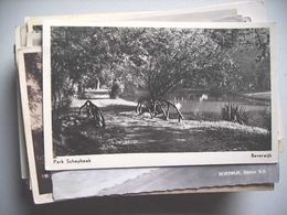 Nederland Holland Pays Bas Beverwijk Met Brug In Park - Beverwijk