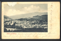 AUSTRIA - Murzzuschlag / Carl Otto Hayd / Visible Damage On Postcard / Year 1901 / Long Line Postcard Circulated - Mürzzuschlag