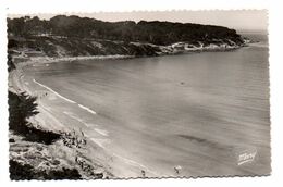 Sanary Sur Mer - Plage De La Gorguette -   CPSM °R - Sanary-sur-Mer