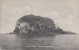 Royaume-Uni - Scotland - North Berwick - Bass Rock - Creag Nam Bathais - Am Bas - Ile Inhabitée - East Lothian