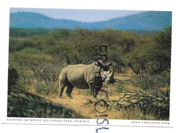 Rhinocéros. Mount Ejo Safari Park. - Namibia