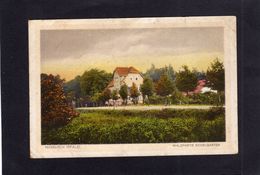 95096    Germania,  Hassloch,  Pfalz,  Waldpartie  Eichelgarten,  NV(scritta) - Hassloch