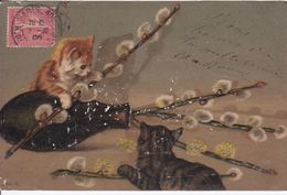 Cartes Postales Thèmes Illustrateur Chatons  Ayant Fait Tomber Un Vase Et Jouant Avec Les Fleurs Précurseur 1906 WW 5653 - Zsolt