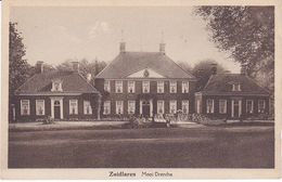 Zuidlaren Laarwoud M4667 - Zuidlaren