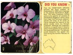 (G 10) Australia - QLD  - Cooktown Orchid - Far North Queensland