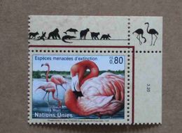 Ge98-01 : Nations-Unies (Genève) / Protection De La Nature - Flamant Rouge Des Caraïbes Ou Flamant De Cuba - Unused Stamps