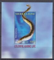 2004	Sierra Leone	4603/B599	Sea Fauna	5,00 € - Vita Acquatica