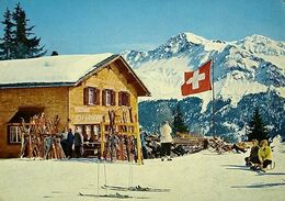 LENZERHEIDE Acla Grischuna Tgantieni Mit Parpaner Rothorn - Parpan