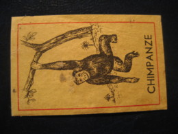Chimpanzee Chimpanzees Chimpanze Chimpanzes Poster Stamp Vignette NETHERLANDS HOLLAND Label Mammal Mammals - Schimpansen