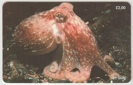 ISLE OF MAN - Curled Octopus , Tirage 20.000, Used - Man (Eiland)