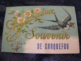 CPA - Carquefou (44) - Affectueux Souvenir De Carquefou - 1917 - SUP (DN 76) - Carquefou