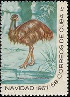 Cuba. 1967.Emeu. Emu   Mint. Neuf** - Straussen- Und Laufvögel