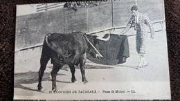 CPA COURSES DE TAUREAUX PASSE DE MULETA 39 LL ED LEVY - Toros