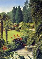 Insel Mainau Im Bodensee Blick Vom Palmanhain In Den Park - Formato Grande Viaggiata – E 16 - Sammlungen & Sammellose