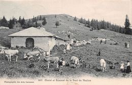 Chalet Et Sommet De La Dent De Vaulion - Troupeau De Vaches - Animée Jura Vaudois - Vaulion