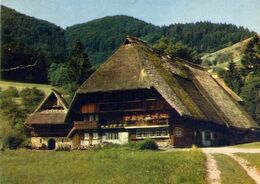 Schwarzwalder Bauernhof - Formato Grande Viaggiata – E 16 - Verzamelingen & Kavels