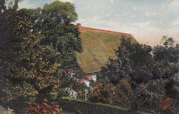 AK Bauernhof Bei Steinkirchen - Kirschenland - 1908  (51404) - Stade