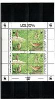Moldova 2001 . WWF II (Corncrake). Sheetlet Of 8 (2 Bl. Of 4v) . Michel # 379-82 KB - Moldavia