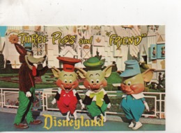 CPA.Etats-Unis.Disneyland.Three Pigs And Friend. - Anaheim