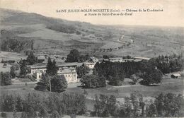 Saint Julien Molin Molette       42       Château E La Condamine Et Route De St Pierre De Boeuf       (voir Scan) - Other & Unclassified