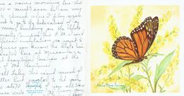 Louise Howe Ewing : Butterfly On A Letter  From Missoula,Montana (USA) May 12 1953 - Unclassified