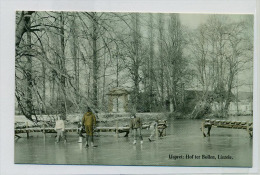 (J269d) - Ijspret: Hof Ter Bollen, Liezele + Animatie / Uitg. Publi-Hevadi - Hof Ter Bollendreef 11 - 2672 Liezele - Puurs