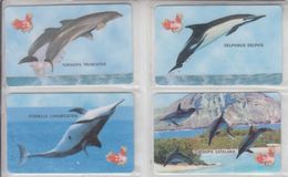 CHINA DOLPHIN SET OF 4 CARDS - Dolfijnen