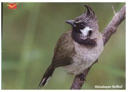 ( 16) India (with Aircraft Carrier & Submarine Fleet Review Stamps) - Himalayan Bulbul - Alice Springs