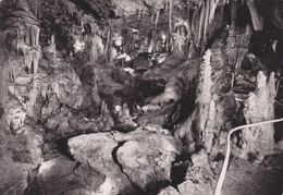 MONACO,CARTE PHOTO,GROTTE - Autres & Non Classés