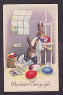 CPA Lapin Bunny Position Humaine Circulé - Dressed Animals