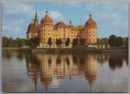 Moritzburg - Schloss Moritzburg 19  Barockmuseum - Moritzburg