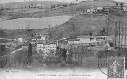 Saint Héand        42        Château De Maleval      (voir Scan) - Andere & Zonder Classificatie