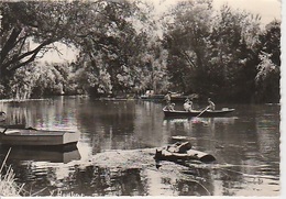 20 : 8 / 47. -   "  Au Long Du Loing  " Promenade Au Fil De L'eau - CPM - Saint Pierre Les Nemours