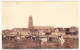 Deventer - Gezicht Van De Stadsweide Met Koeien - Deventer