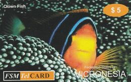 Micronesia, FM-FSM-TEL-0019, Clown Fish, 2 Scans.    FSM TelCARD - 05th Edition - Mikronesien