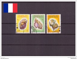 Comores 1962 - Oblitéré - Coquilles - Michel Nr. 43-45 (com180) - Used Stamps