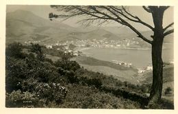 Carte Photo * 66 * Banyuls Sur Mer - Banyuls Sur Mer