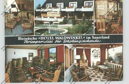 4798 WÜNNENBERG - BLEIWÄSCHE, Hotel Waldwinkel - Bad Wuennenberg