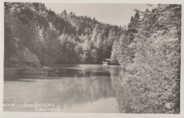 Autriche - Staufensee Bei Dornbirn  - 1945 - Dornbirn