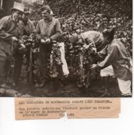 Photo Des Soldats Américains Viennent Gouter Au Raisins De La Vigne De Montmartre En 1944 - Oorlog, Militair