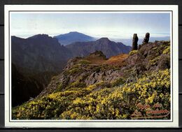 La Palma - Caldera De Taburiente - Edition DAVID Barcelona Nr. 329; B-1486 - La Palma